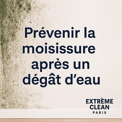 Prévenir la moisissure après un dégât d’eau à Paris